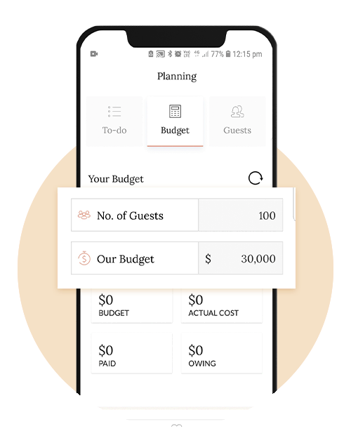 Easily Manage Wedding Expenses with the Budget Calculator